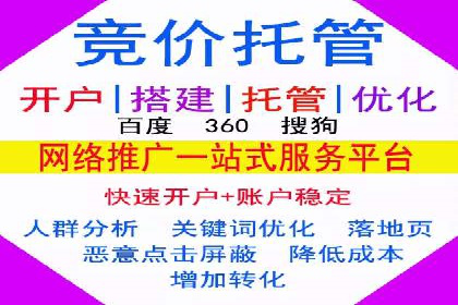 某电商平台的SEM运营实战与效果分析